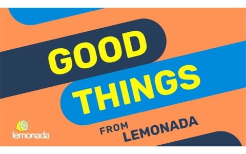 Alt text for the image
